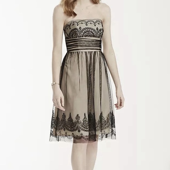 DAVIDS BRIDAL Strapless Tulle Dress Size 16 Fairy Whimsigoth Formal Event Party - Picture 1 of 11